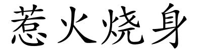 惹火烧身的解释