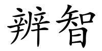 辨智的解释