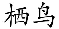 栖鸟的解释