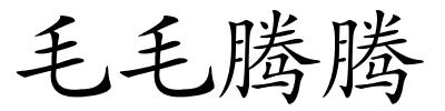 毛毛腾腾的解释