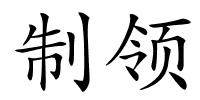 制领的解释