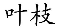 叶枝的解释