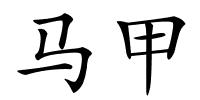 马甲的解释