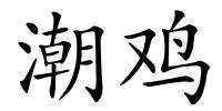 潮鸡的解释