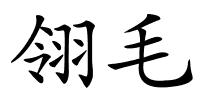 翎毛的解释