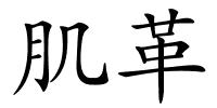 肌革的解释