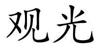 观光的解释