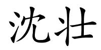 沈壮的解释