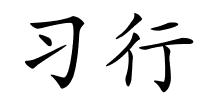 习行的解释