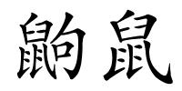 鼩鼠的解释