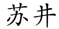 苏井的解释