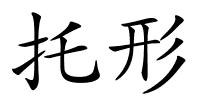 托形的解释