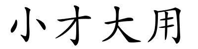 小才大用的解释