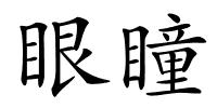 眼瞳的解释