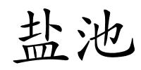 盐池的解释