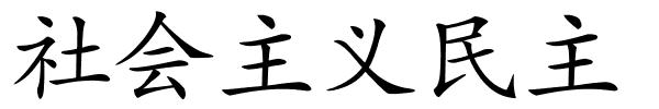 社会主义民主的解释