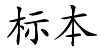 标本的解释