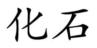 化石的解释