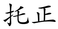 托正的解释