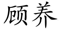 顾养的解释