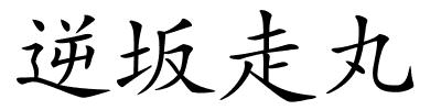 逆坂走丸的解释