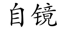 自镜的解释