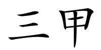 三甲的解释