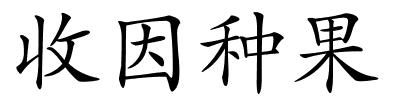 收因种果的解释