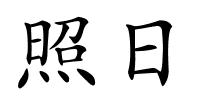 照日的解释