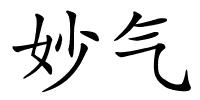 妙气的解释