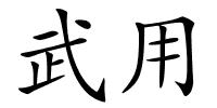 武用的解释