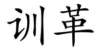 训革的解释