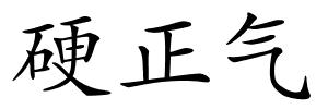 硬正气的解释