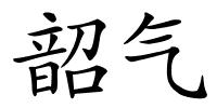 韶气的解释