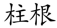 柱根的解释