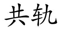 共轨的解释