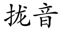 拢音的解释