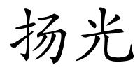 扬光的解释