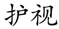 护视的解释