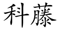 科藤的解释