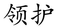 领护的解释