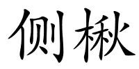 侧楸的解释