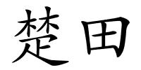 楚田的解释