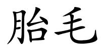 胎毛的解释