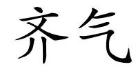 齐气的解释