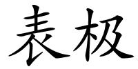 表极的解释