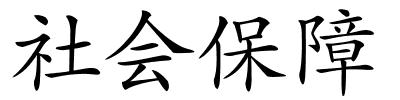 社会保障的解释