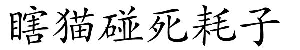 瞎猫碰死耗子的解释