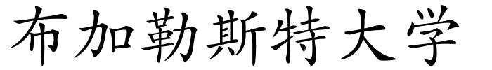 布加勒斯特大学的解释