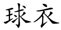 球衣的解释